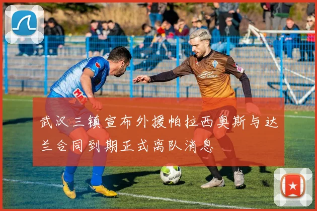 武汉三镇宣布外援帕拉西奥斯与达兰合同到期正式离队消息